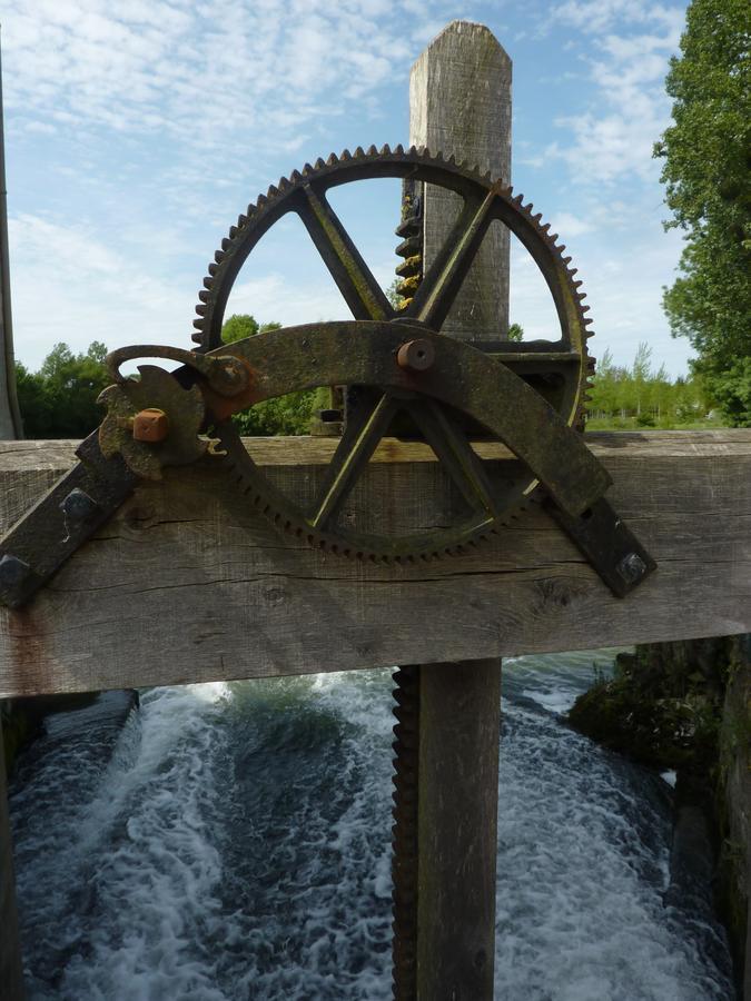 Saché Moulin De La Chevriere B&B 외부 사진