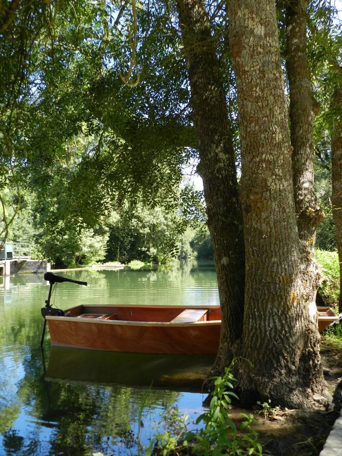 Saché Moulin De La Chevriere B&B 외부 사진