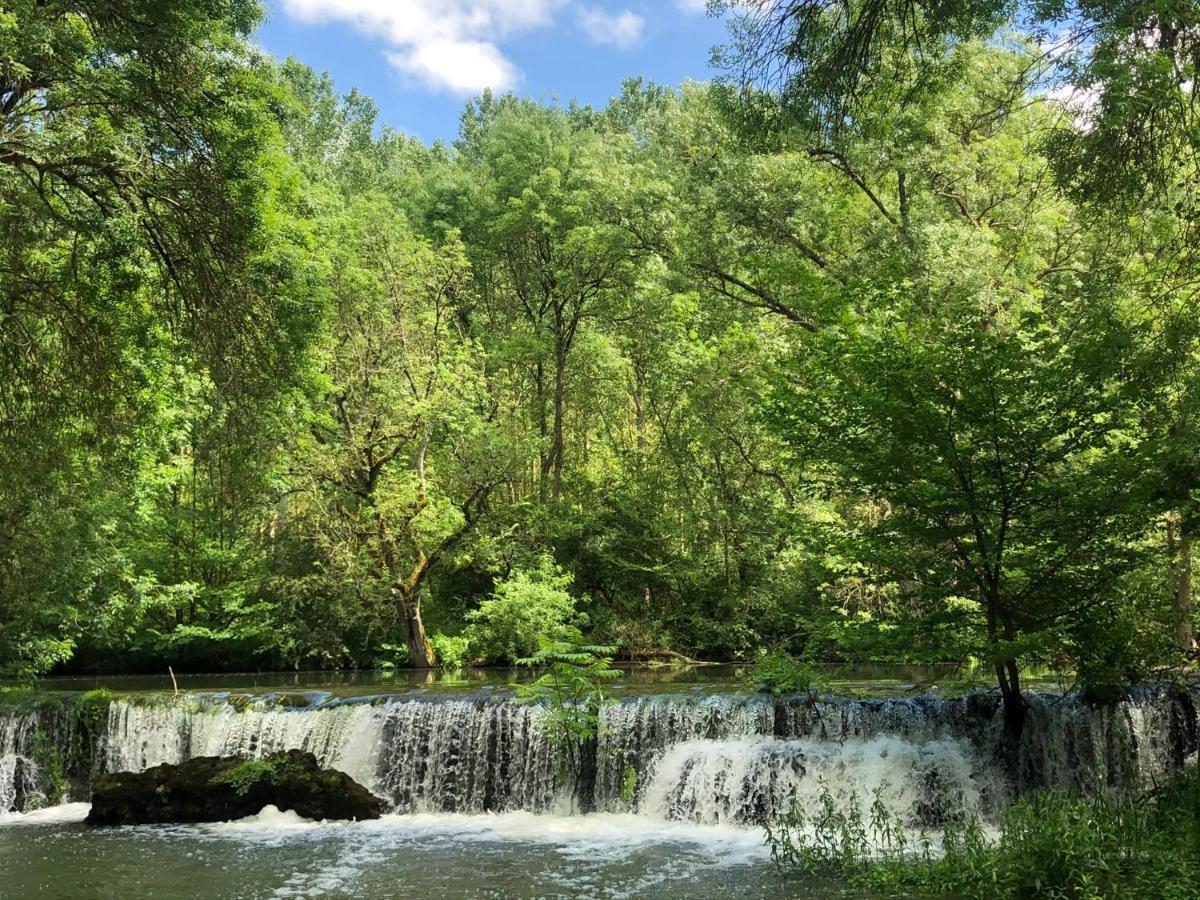 Saché Moulin De La Chevriere B&B 외부 사진